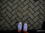 PICT202501