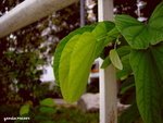 PICT202801