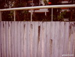 PICT203201
