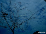 PICT204001