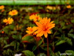 PICT206201