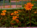 PICT206401