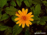 PICT207501