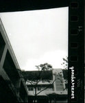 b&w0110