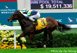 20071202_4788