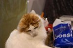 IMG_5060-s