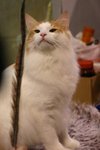 IMG_5064-s