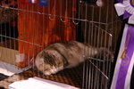 IMG_5067-s