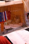 IMG_5068-s