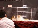 IMG_5077-s