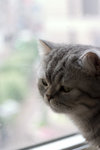 CRW_1194
