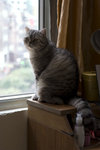 CRW_1196