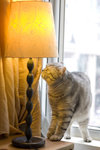 CRW_1217