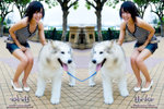 DSC_0002_Yoko_by_Aaron