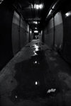 ZNZ_2356
