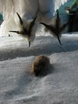 IMG_3389
