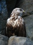 IMG_3417