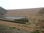 IMG_7090