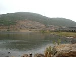 IMG_7201