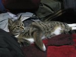 IMG_6263