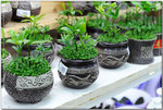 KEN_5778