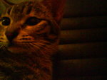DSC00857