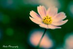 IMG_3880s