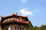 IMG_0051