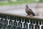 IMG_0030