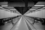 IMG_9032