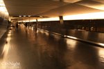 IMG_4429