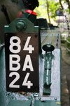 IMG_3870