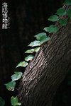 IMG_3882