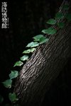 IMG_3883