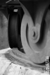 IMG_3896