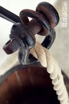 IMG_3897