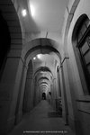 IMG_0100