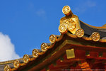 IMG_0686s