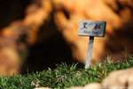 IMG_0691s