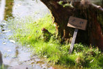 IMG_0698s