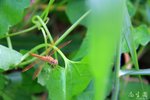 IMG_0033