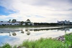 IMG_0053
