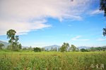 IMG_0071