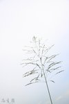 IMG_0074