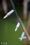 IMG_0085