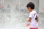 IMG_0010