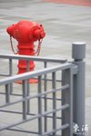 IMG_0028