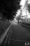 IMG_0041