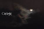 TST_0024