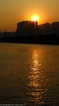 IMG_0342